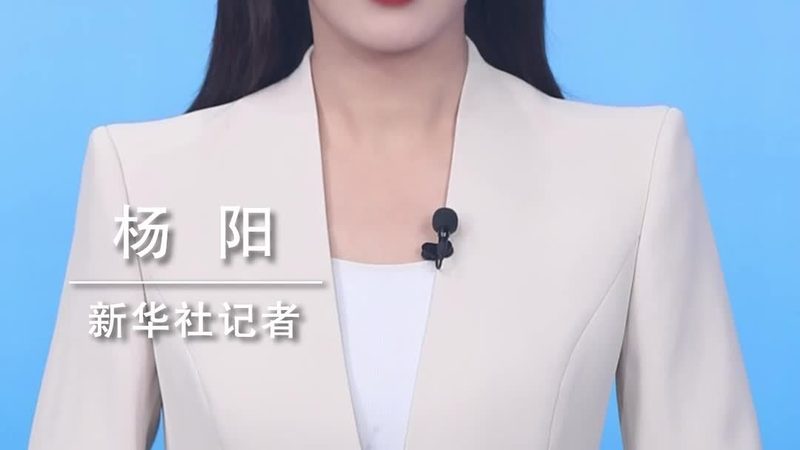 企业级微服务安全认证架构：构建可靠的企业IT基础设施**